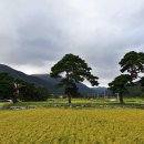 옥산3리 마을 앞 이미지