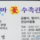갈마꽃집 이미지