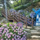 중앙시장(1208) 이미지