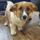 희양현로 이미지