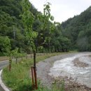 별맞이민박 이미지