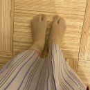 하루 | 산요안 료칸 객실 후기｜하루 종일 머물고 싶었던 도카치가와 온천 숙소