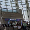 363 | 중국 상해 여행 인천-상하이 아시아나 OZ363 이코노미 탑승 후기 기내식 레그룸 인천공항 혜택