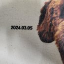 Happiness puppy | 댕잡았다 강아지가방_강아지굿즈 제작후기, 댕귀여운 가방 🐶