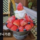 2358 | 홍대카페 발코니가든 홍대카페 발코니가든에서 여유롭게