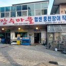 힘센 민물장어 이미지