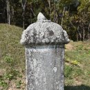 임원준 선생묘 이미지