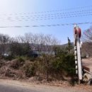 드림목장 이미지