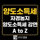 서진세무회계사무소 - 서초구 강남대로 221 | 서진세무회계사무소