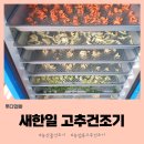 새한일 고추건조기 농산물건조기 활용기2 (야채육수 티백)