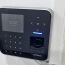 망고 스테이 이미지