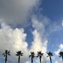 호텔당근 | [제주/여행] 더본 호텔 ‘빽다방’ 베이커리 카페 소금빵.당근 쨈 후기 완전추천 !! 연돈 앞 카페