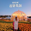 동백원건너 | 2024 경남 거제섬꽃축제 기본정보 후기