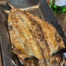 [강릉 맛집] 강릉토박이 추천 가성비 최고 인생횟집, “회바라기” 후기