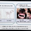 신촌 숲 동물병원 이미지