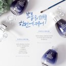 스킨홀릭 이미지