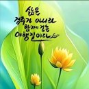 도리도리 까꿍은 무슨 뜻일까? 이미지