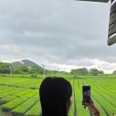 GS25토평금호점 | [제주도 신혼여행 3일차] - 오설록/산아래식당/천지연폭포/하라키키/토평치킨/1100고지 별구경