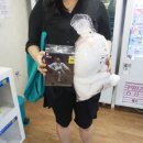 레인보우뽑기팡 이미지