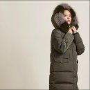아마넥스 이미지