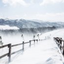 들판의추억목장 이미지