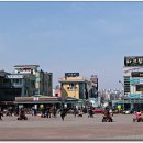 엑스포공원 이미지