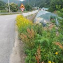 명현농장 이미지