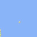 아라파니 이미지