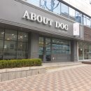 어바웃독 이미지