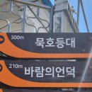 신일이용소 네이버블로그