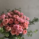 발렌타일 이미지