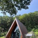 왜관 송정휴양림 세모집 1박 후기