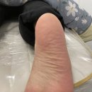 소희브로우