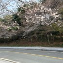 구림공업고등학교 | 해피니스 이동식 화장실과 컨테이너부스 임대 후기(2024 영암왕인문화축제)