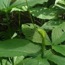 관음사 입구 주차장 이미지