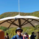 힐링(장태산) 이미지