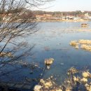 버들낚시터 이미지