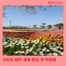 지에스25태안마검포점 | 2026 태안 세계튤립꽃박람회 마검포 네이처월드 실시간후기