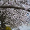 구례의길(섬진강길) 이미지