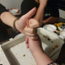 신세계 리조트 이미지