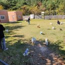 한별 반려동물 장례식장 이미지