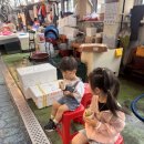 삼천포전통수산시장 | 삼천포 용궁 수산시장 구경 | 활기찬 전통시장에서 시작한 사천 여행