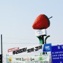 논산훈련소 포차 | 2023 논산딸기축제 개막식 후기