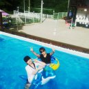 반디네허브 이미지