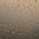 정원빌딩 이미지