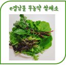 동의보감몰