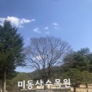 청주 미동산수목원, 나들이 데이트하기 좋은 곳