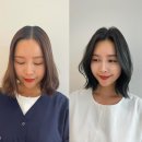 대구 신천동 미용실 로벨르헤어 신천점, 중단발 염색 후기