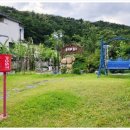 담양버치 이미지