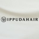 세실로 48 이미지